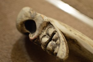 Skull